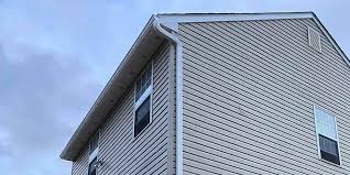 Best Custom Siding Design  in Payson, AZ